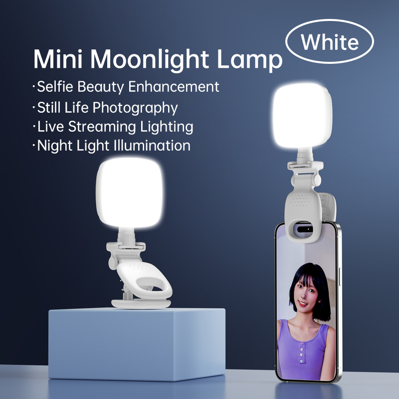 Lampada portatile per selfie a - Photography Lighting Handheld recensione e prezzo